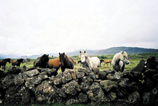 Iceland-Northern Tours-Diamond Circle Ride